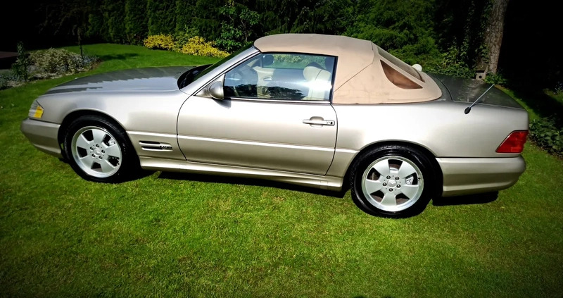 Mercedes-Benz SL cena 49900 przebieg: 286000, rok produkcji 1998 z Łęczna małe 497